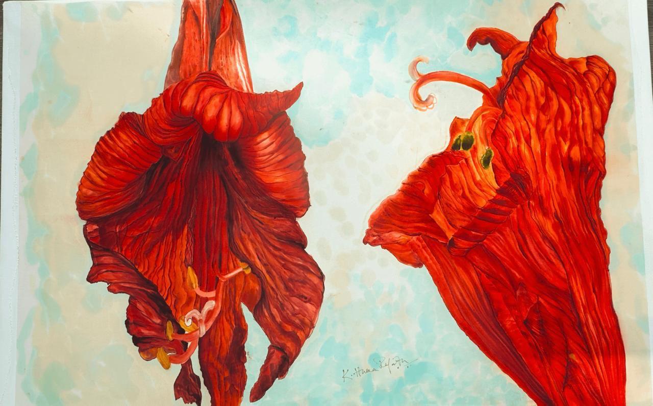 Crimson amaryllis