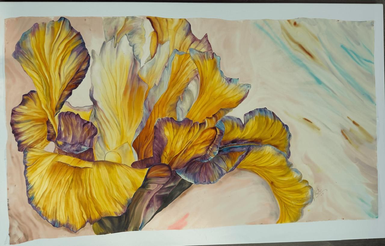 Golden iris